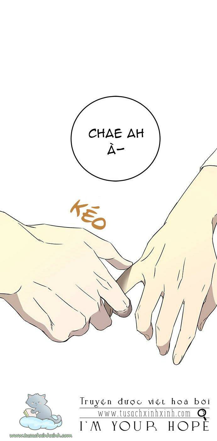 Cạm Bẫy - Chương 37
