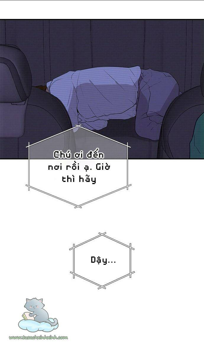 Cạm Bẫy - Chương 4