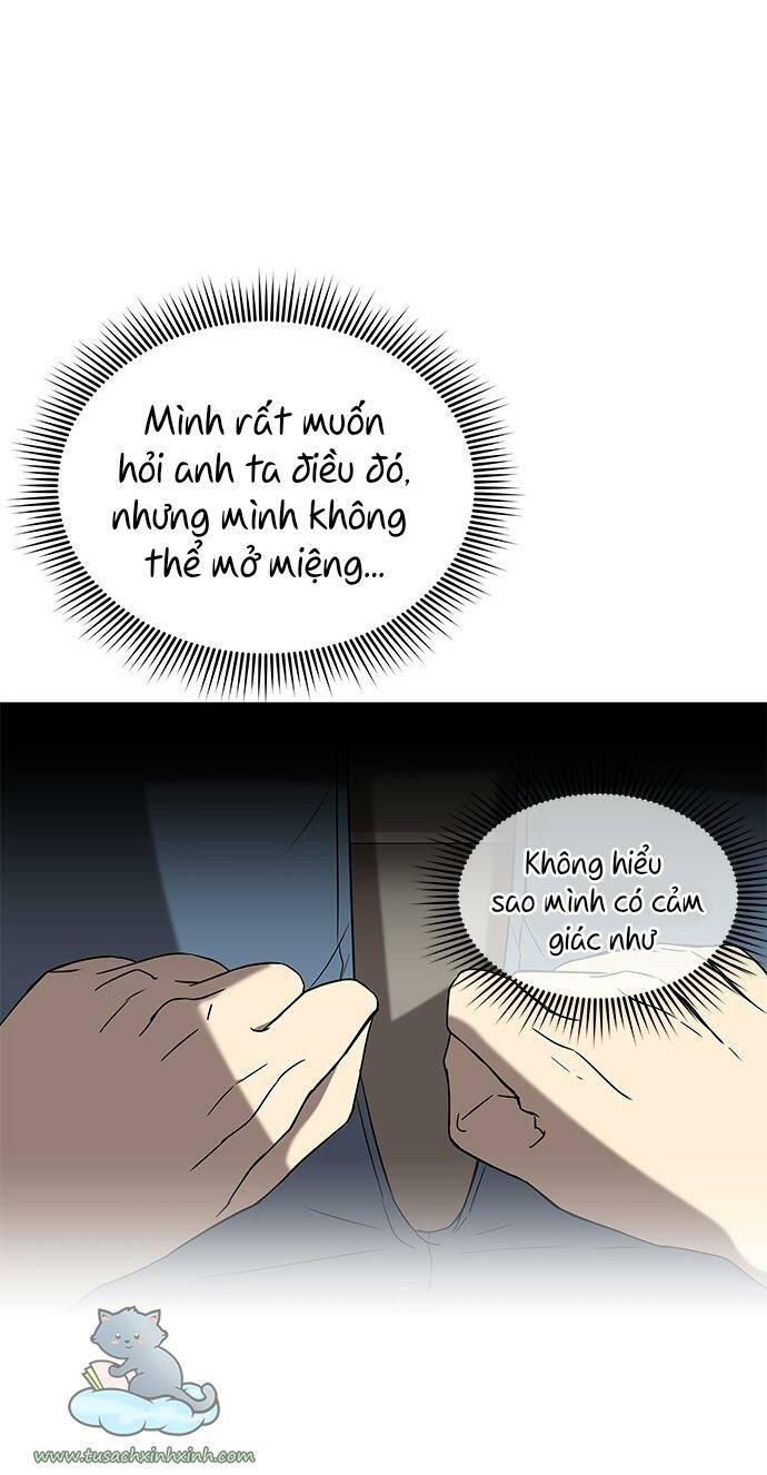 Cạm Bẫy - Chương 41