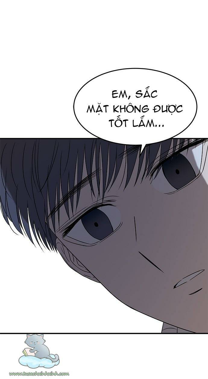 Cạm Bẫy - Chương 41