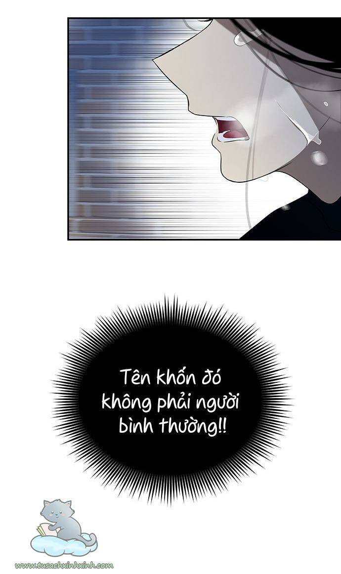 Cạm Bẫy - Chương 41