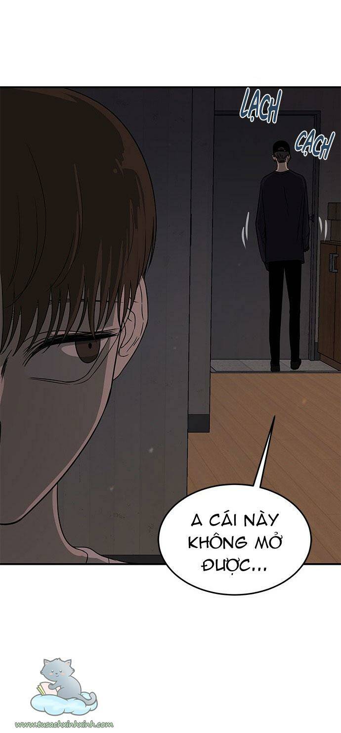 Cạm Bẫy - Chương 46