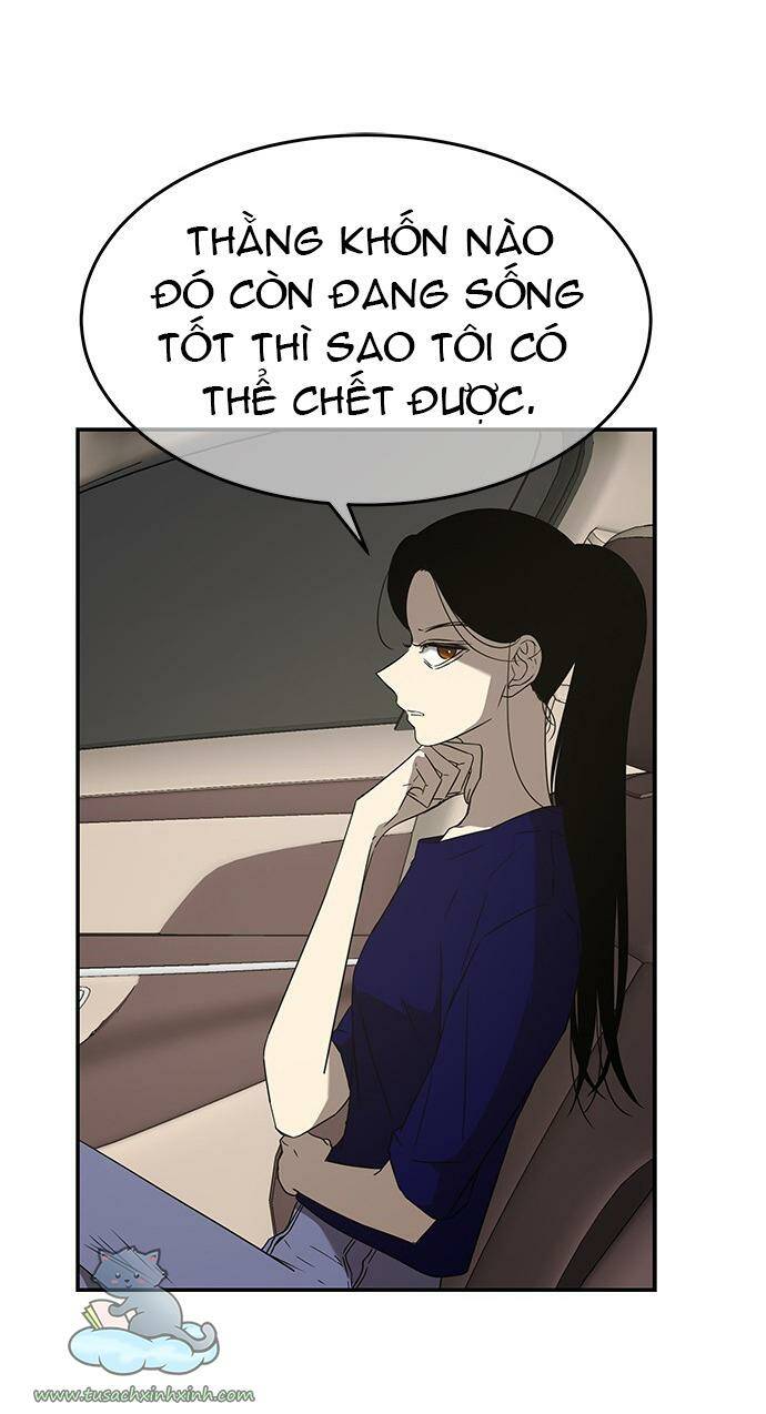 Cạm Bẫy - Chương 49