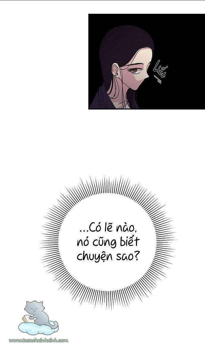 Cạm Bẫy - Chương 5