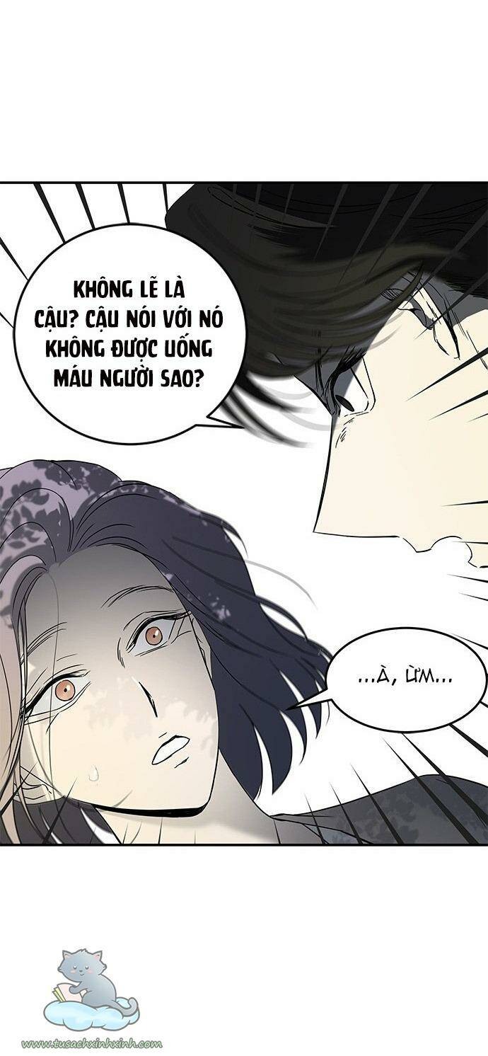 Cạm Bẫy - Chương 65