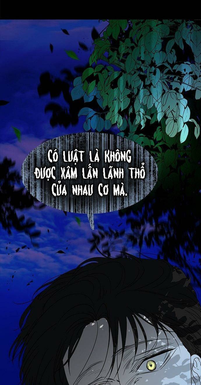 Cạm Bẫy - Chương 65