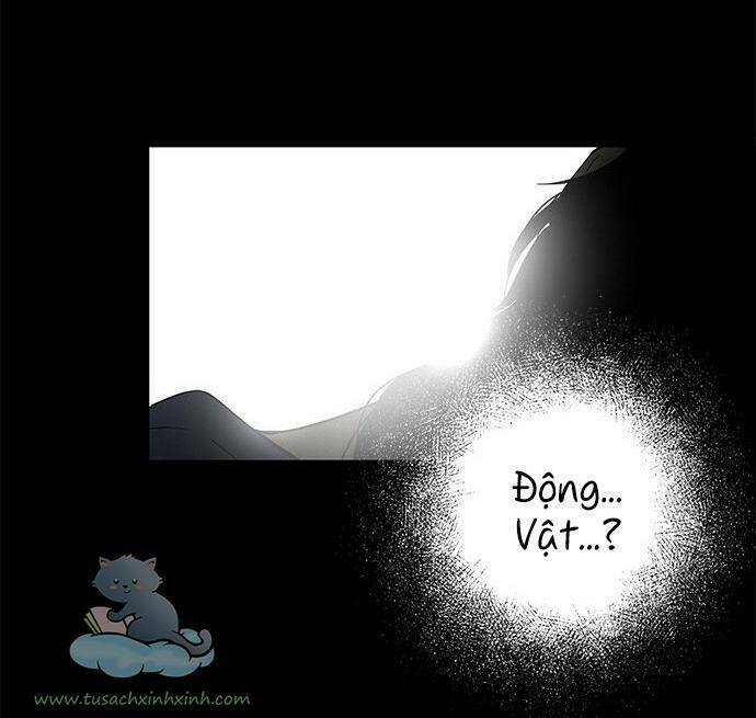 Cạm Bẫy - Chương 65