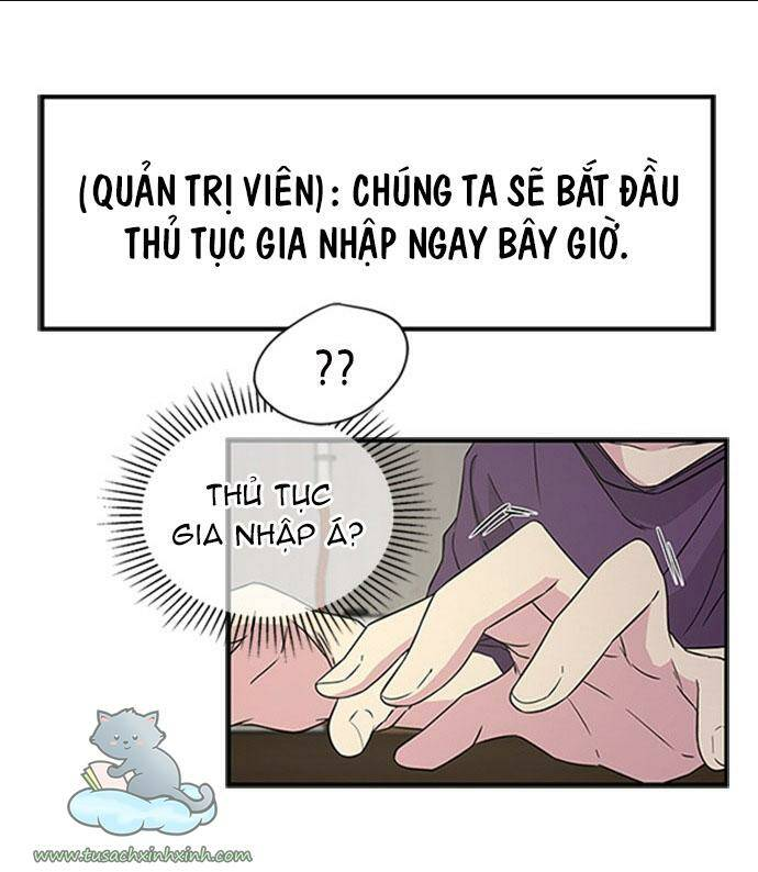 Cạm Bẫy - Chương 8