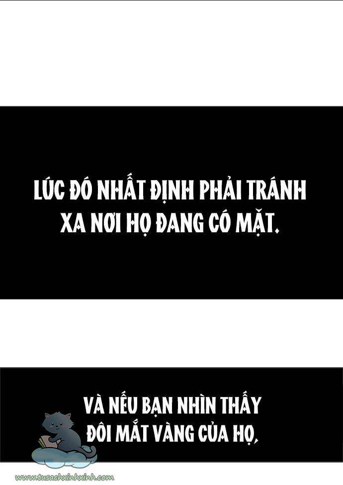 Cạm Bẫy - Chương 8