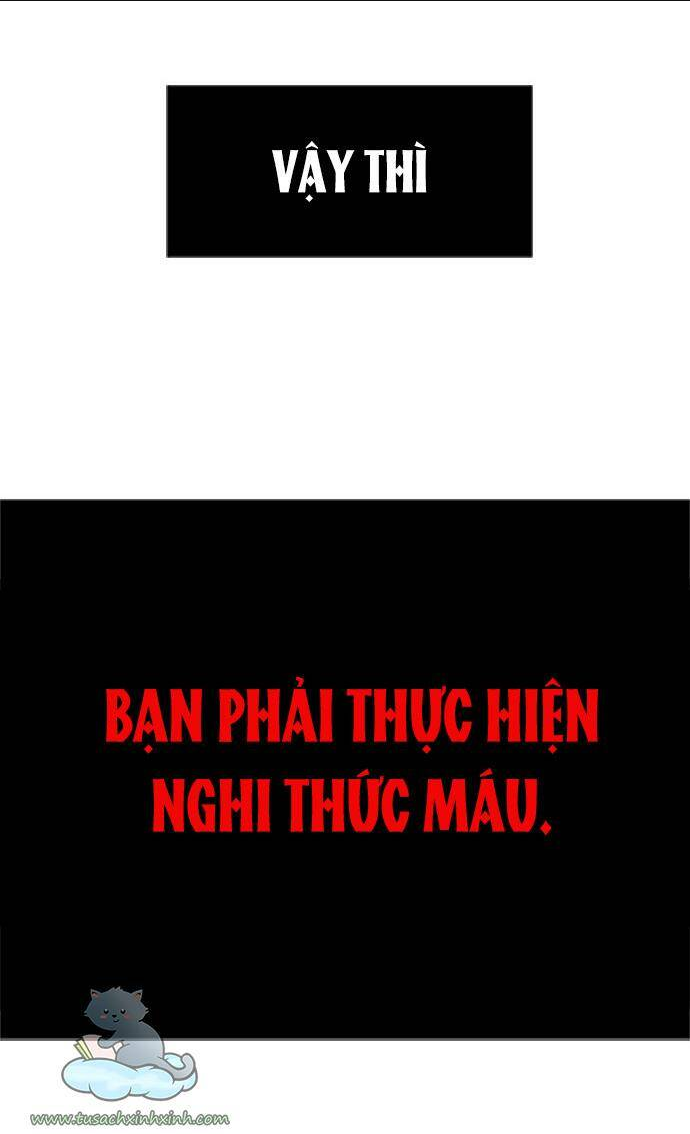 Cạm Bẫy - Chương 8