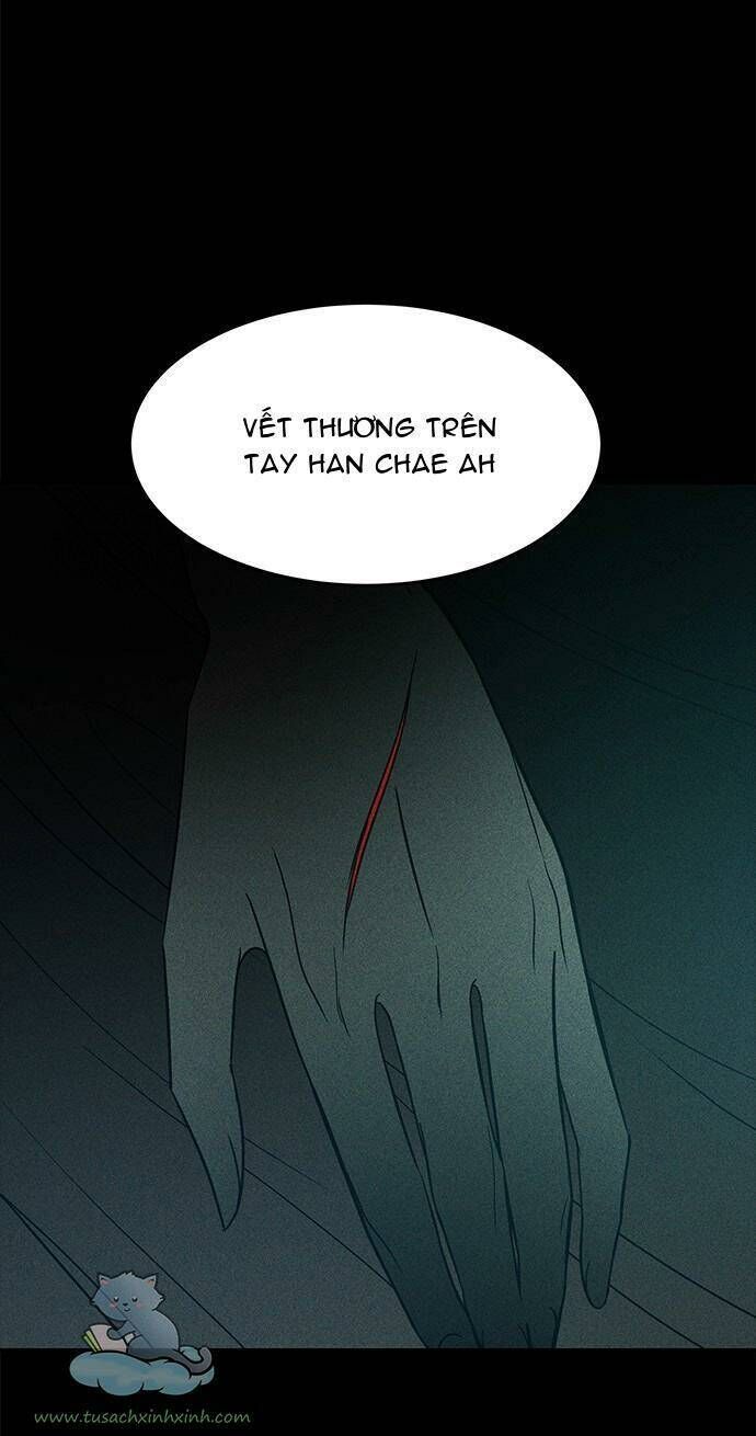 Cạm Bẫy Lửa Tình - Chương 101