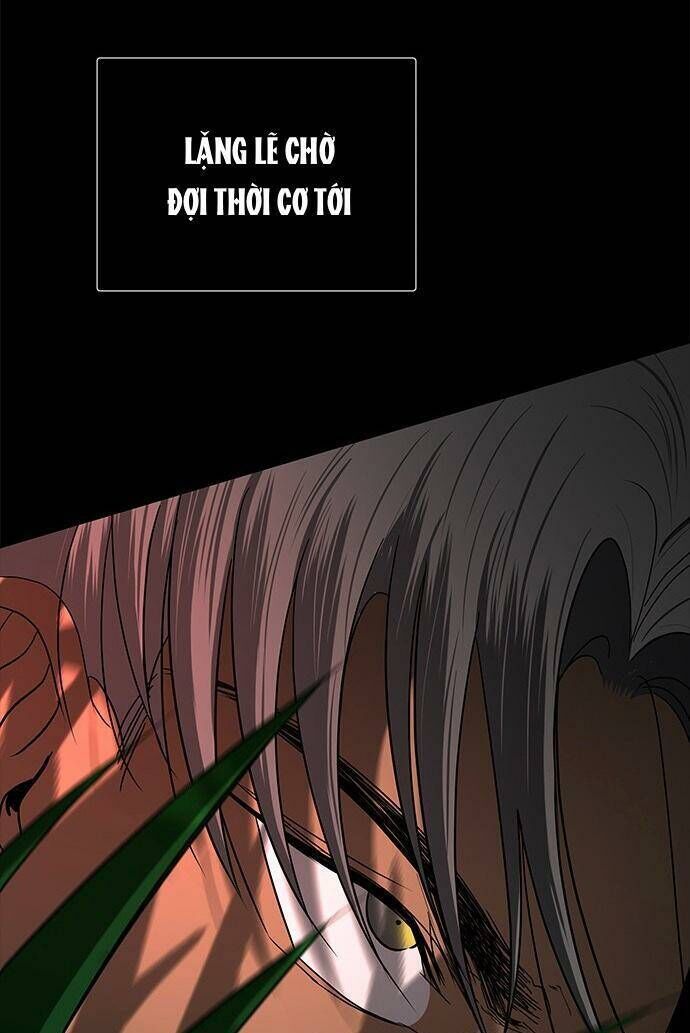 Cạm Bẫy Lửa Tình - Chương 108