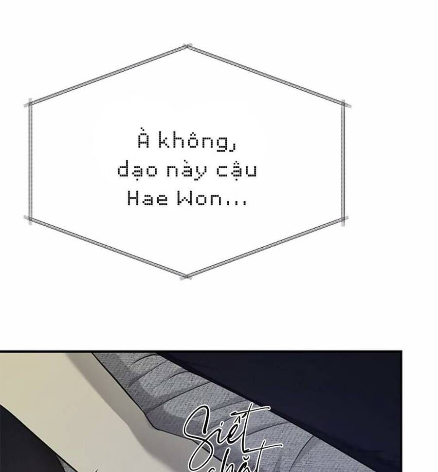 Cạm Bẫy Lửa Tình - Chương 128