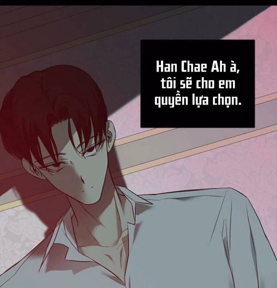 Cạm Bẫy Lửa Tình - Chương 142