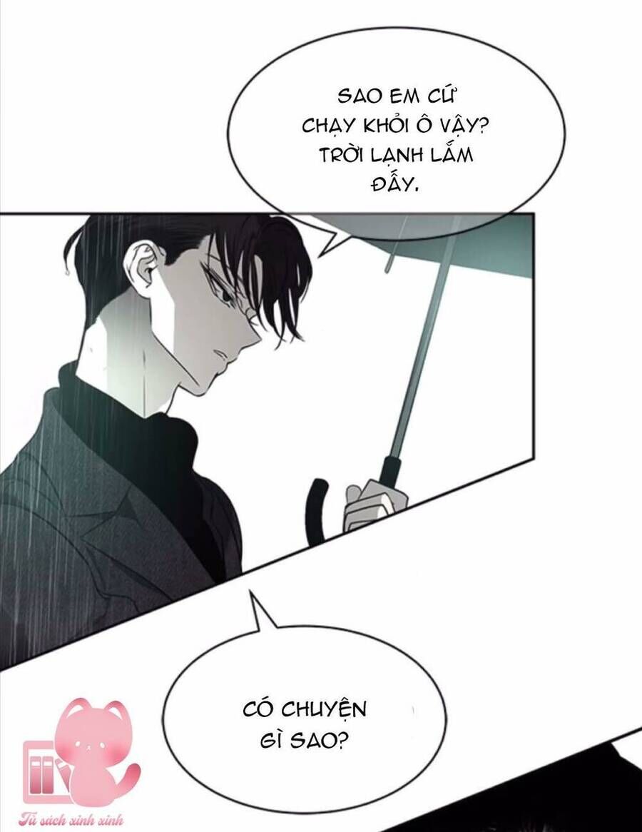 Cạm Bẫy Lửa Tình - Chương 142