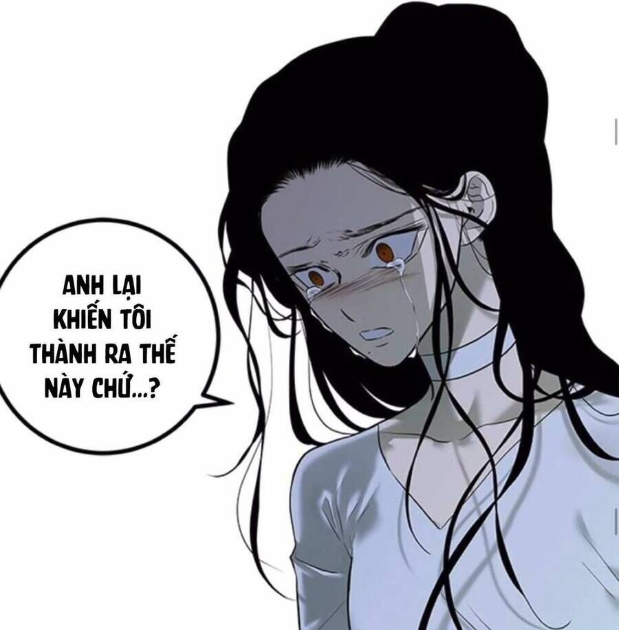 Cạm Bẫy Lửa Tình - Chương 144