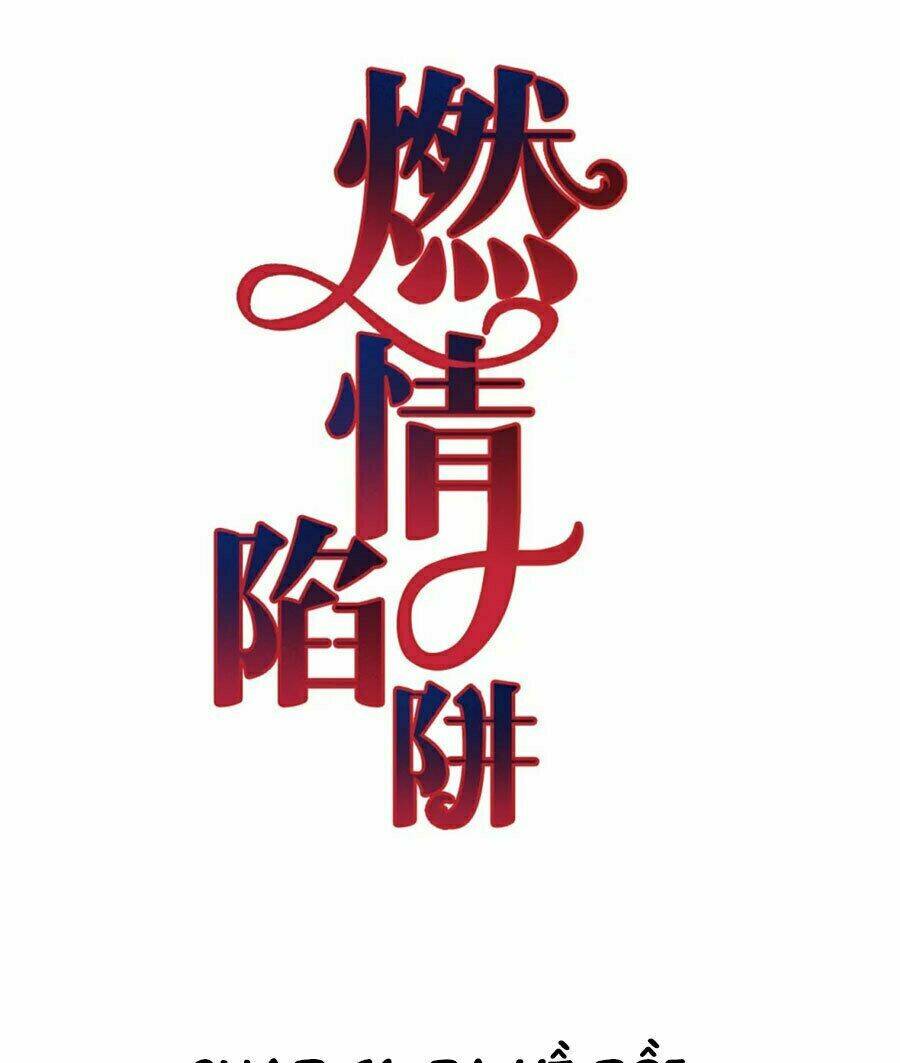 Cạm Bẫy Lửa Tình - Chương 41