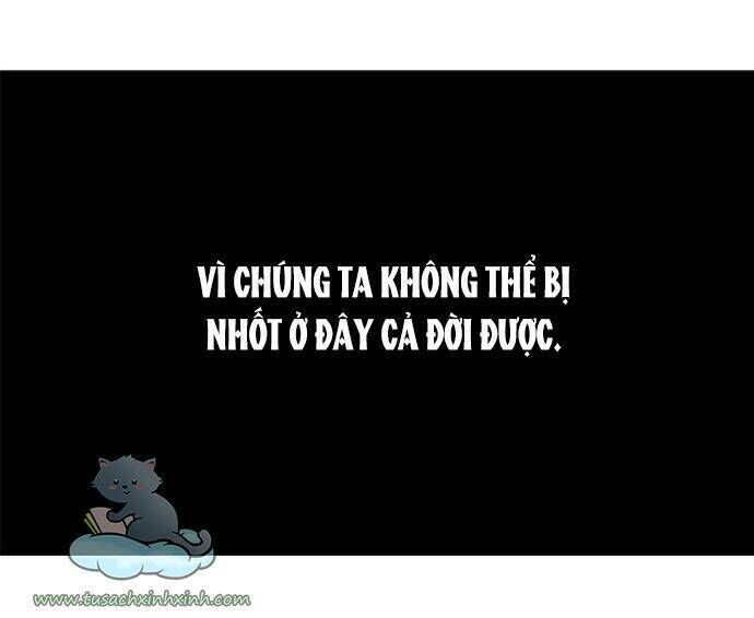 Cạm Bẫy Lửa Tình - Chương 82
