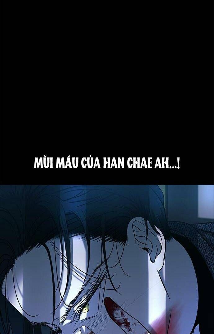 Cạm Bẫy Lửa Tình - Chương 91