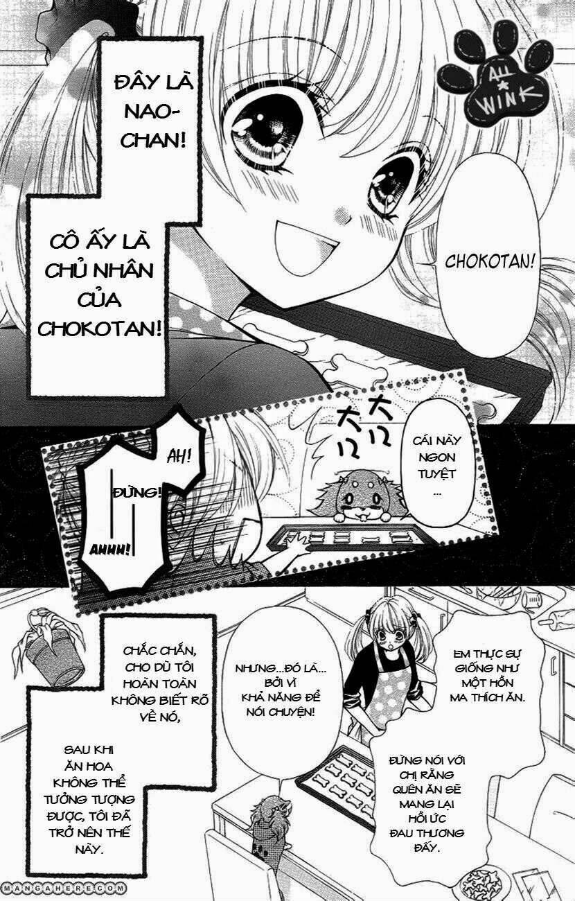 Chokotan! - Chương 1
