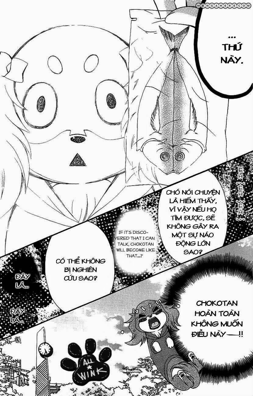 Chokotan! - Chương 1