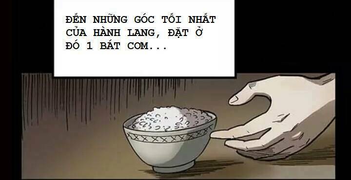 Cơm Cúng - Chương 2
