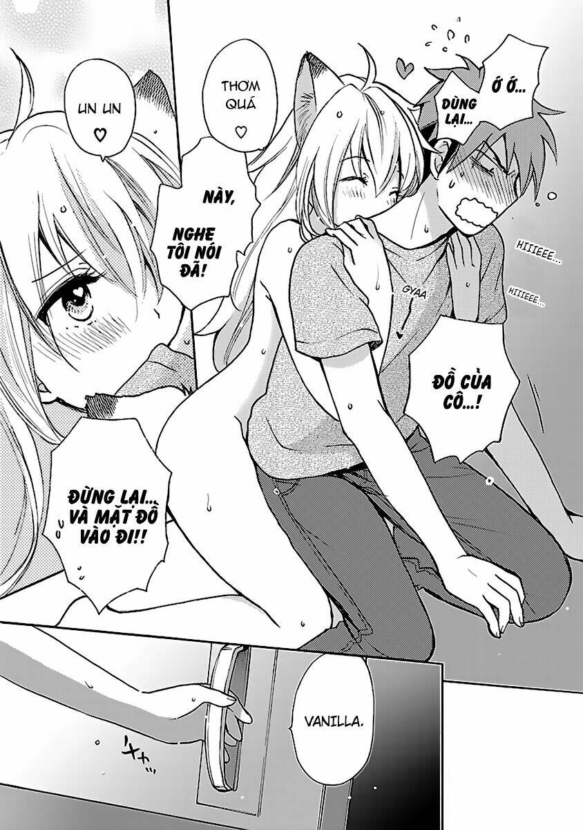 Come Come Vanilla! - Chương 2