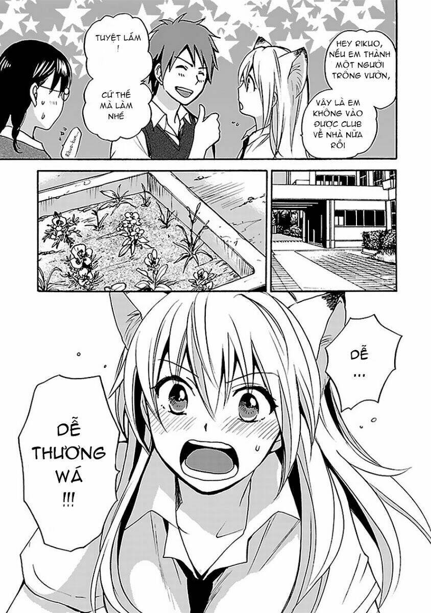 Come Come Vanilla! - Chương 5