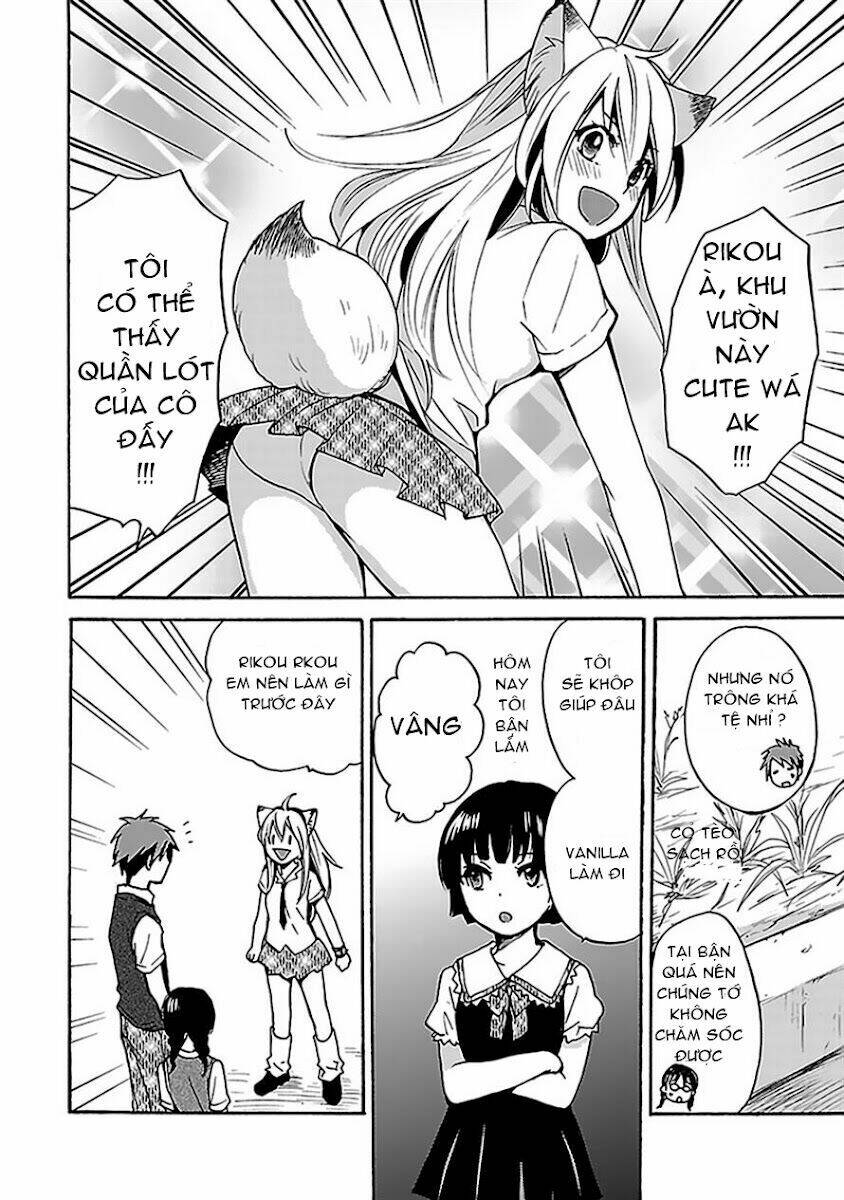 Come Come Vanilla! - Chương 5