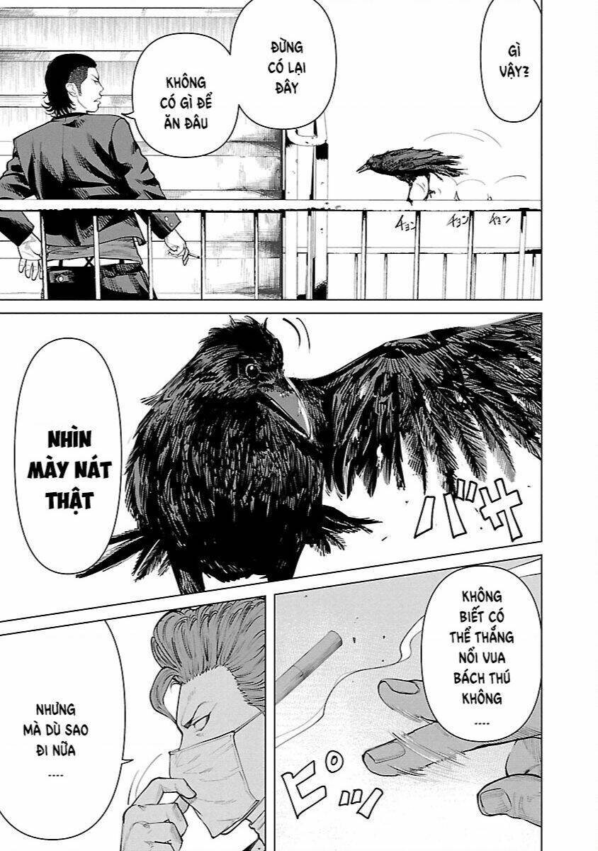 Crows Zero Reboot - Chương 6