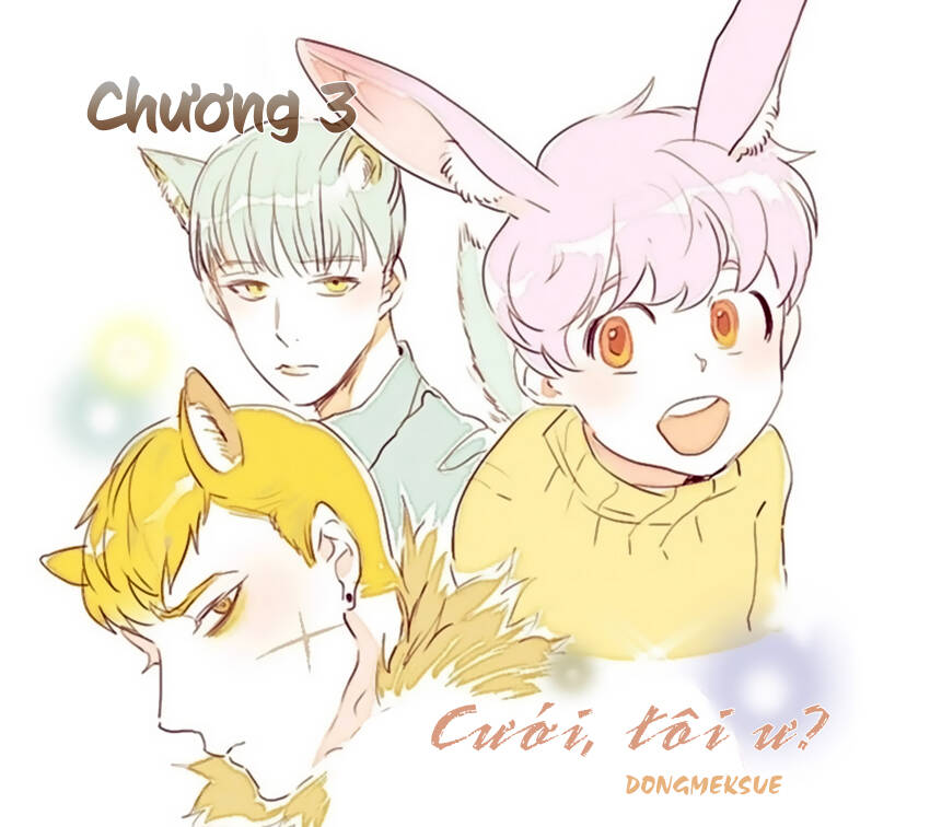 Cưới, Tôi Ư? - Chương 3