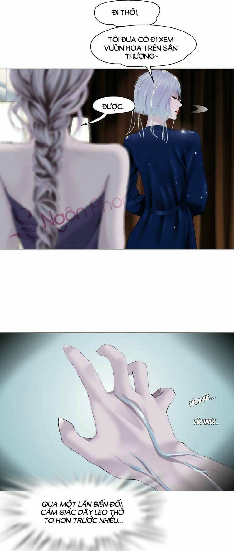 Đằng Nữ - Chương 13
