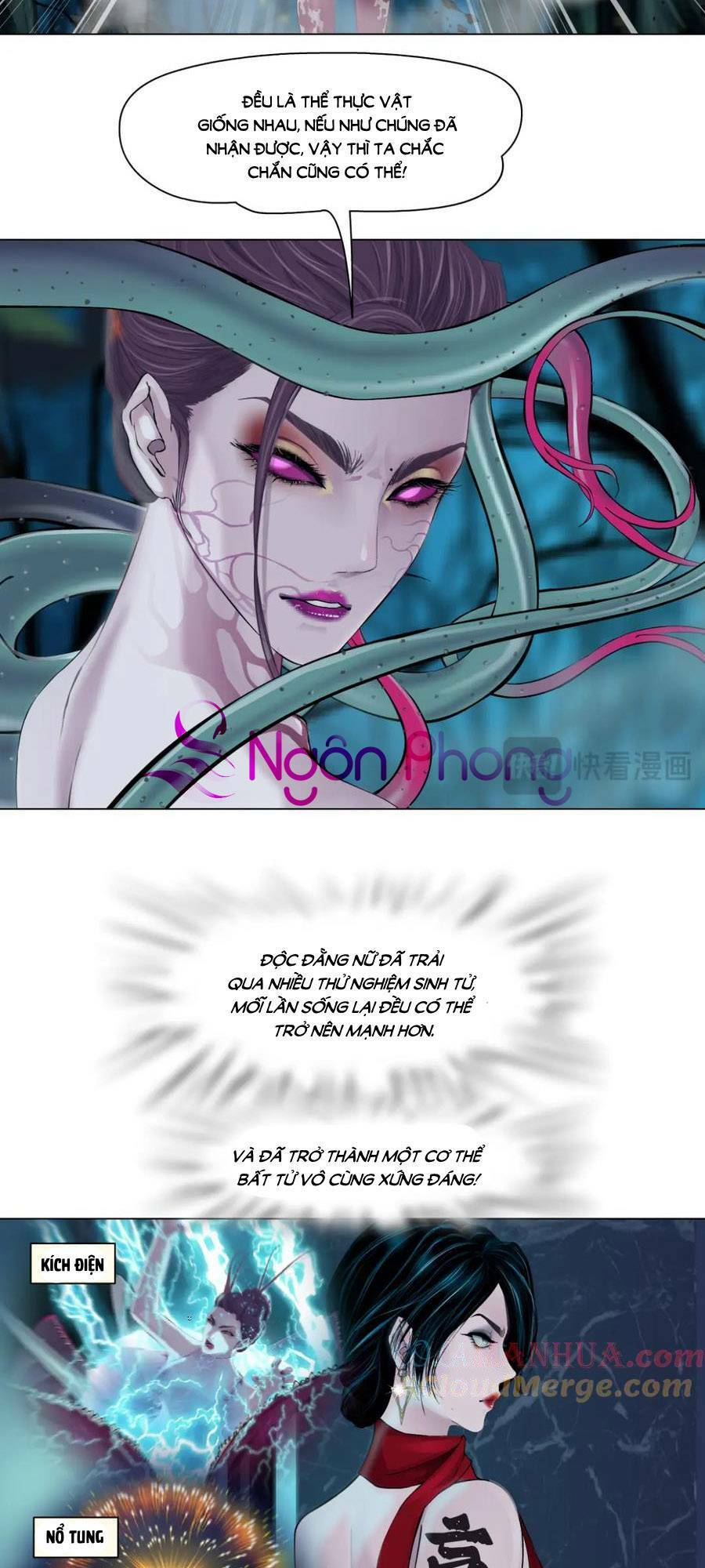 Đằng Nữ - Chương 233