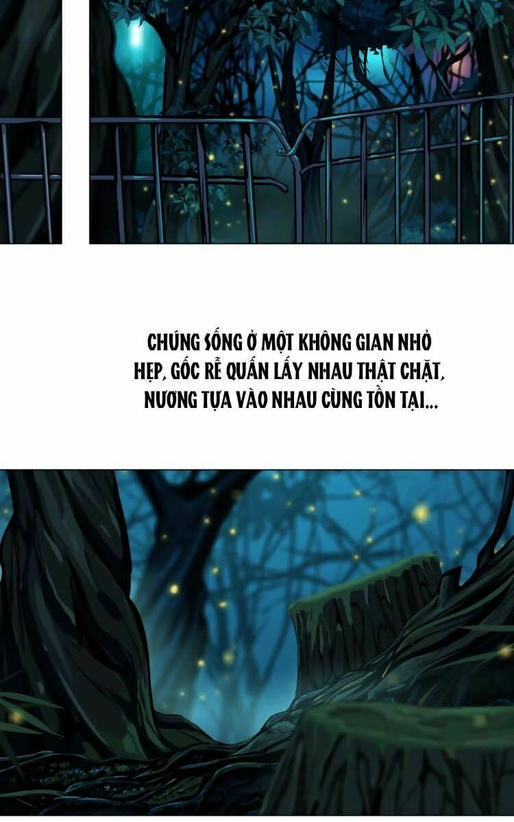 Đằng Nữ - Chương 4