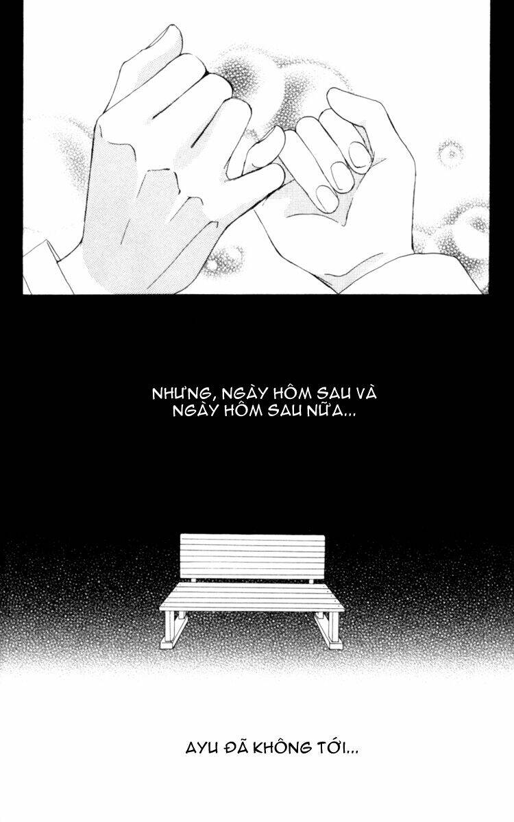 Deep Love - Host - Chương 5