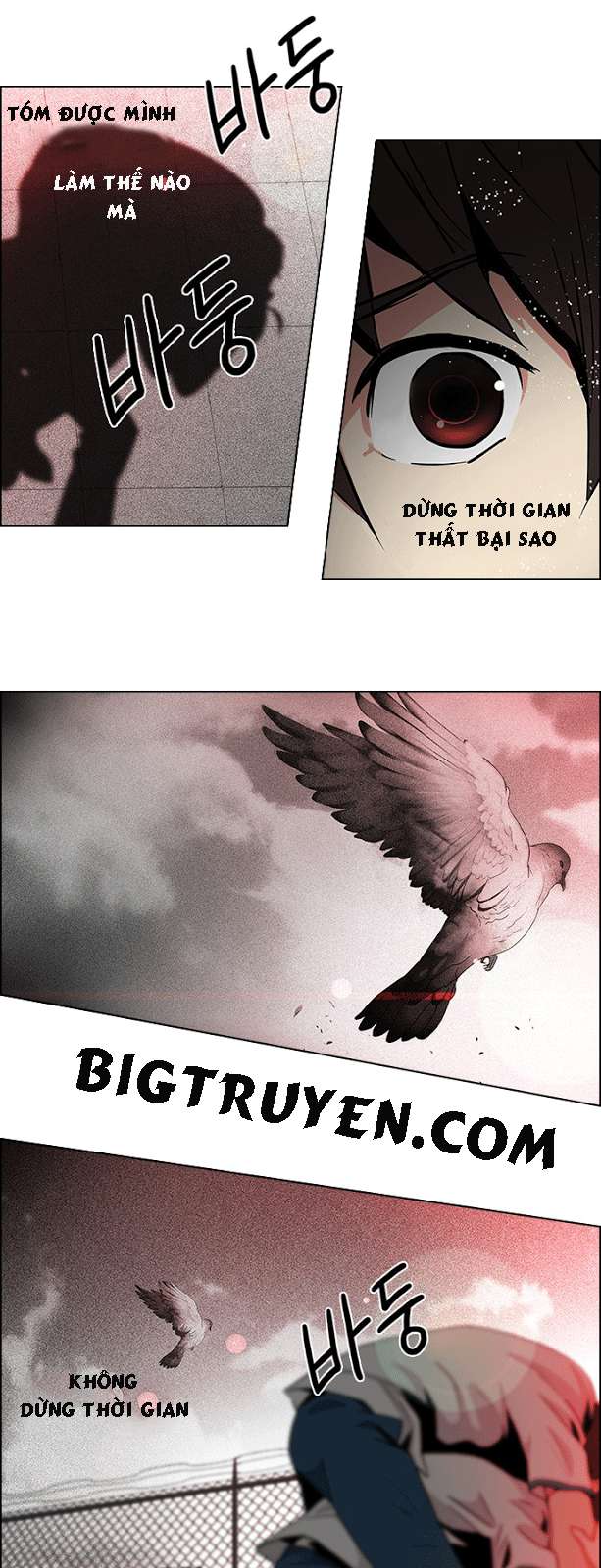 Dice - Chương 65