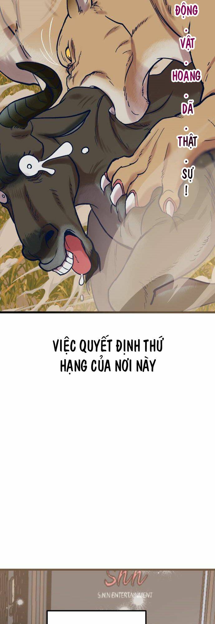 Đời Tư Idol - Chương 5