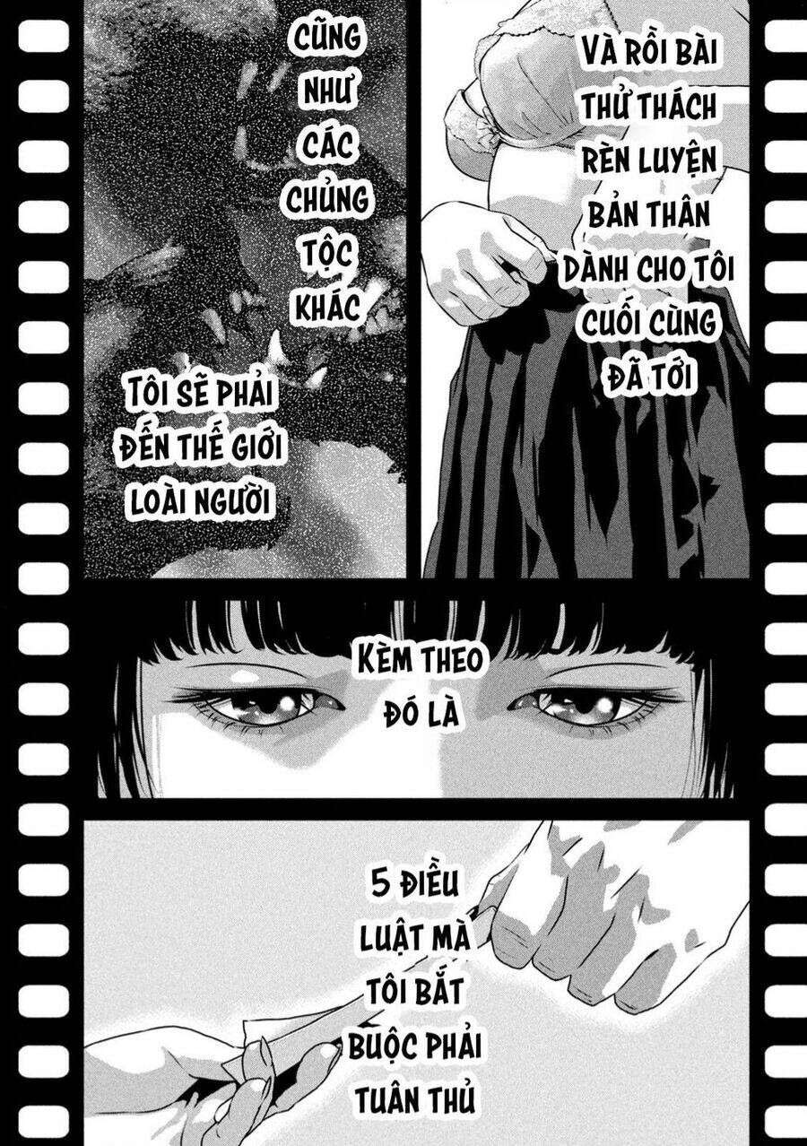 Dora-Q - Chương 1