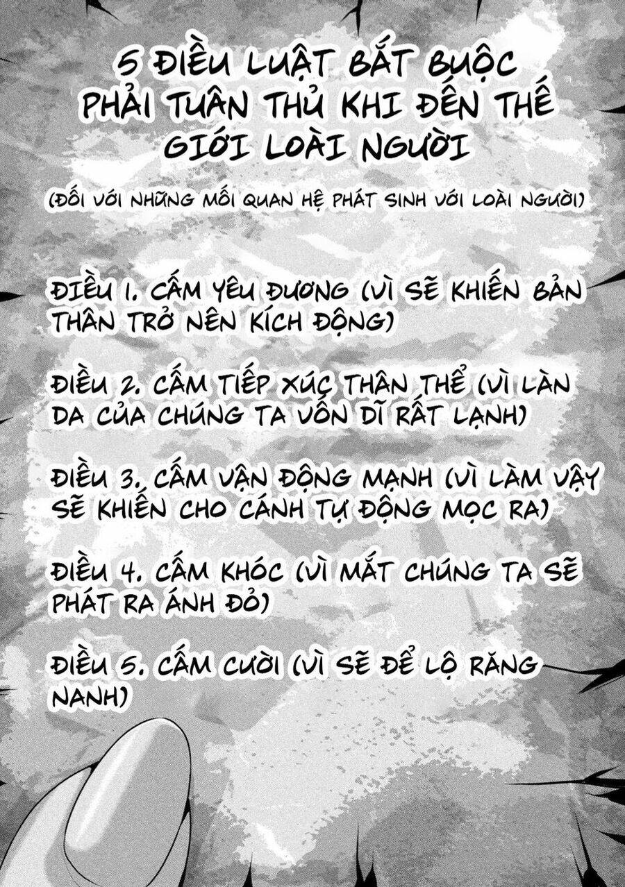 Dora-Q - Chương 1