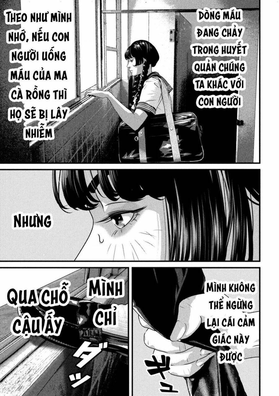 Dora-Q - Chương 1