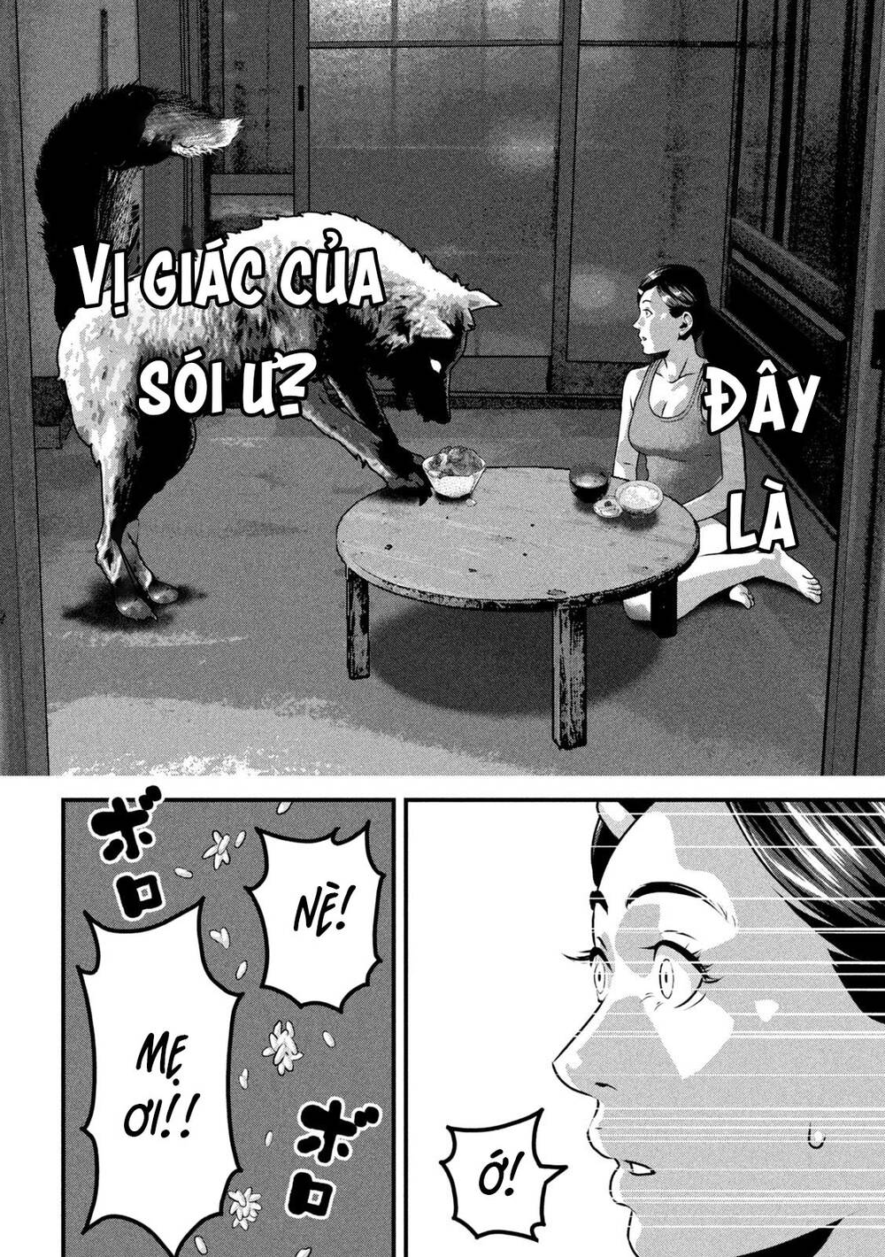 Dora-Q - Chương 11