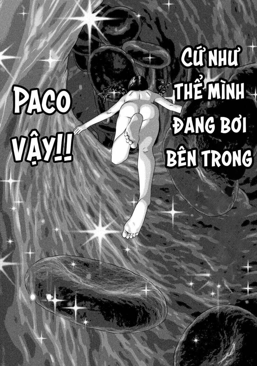 Dora-Q - Chương 3