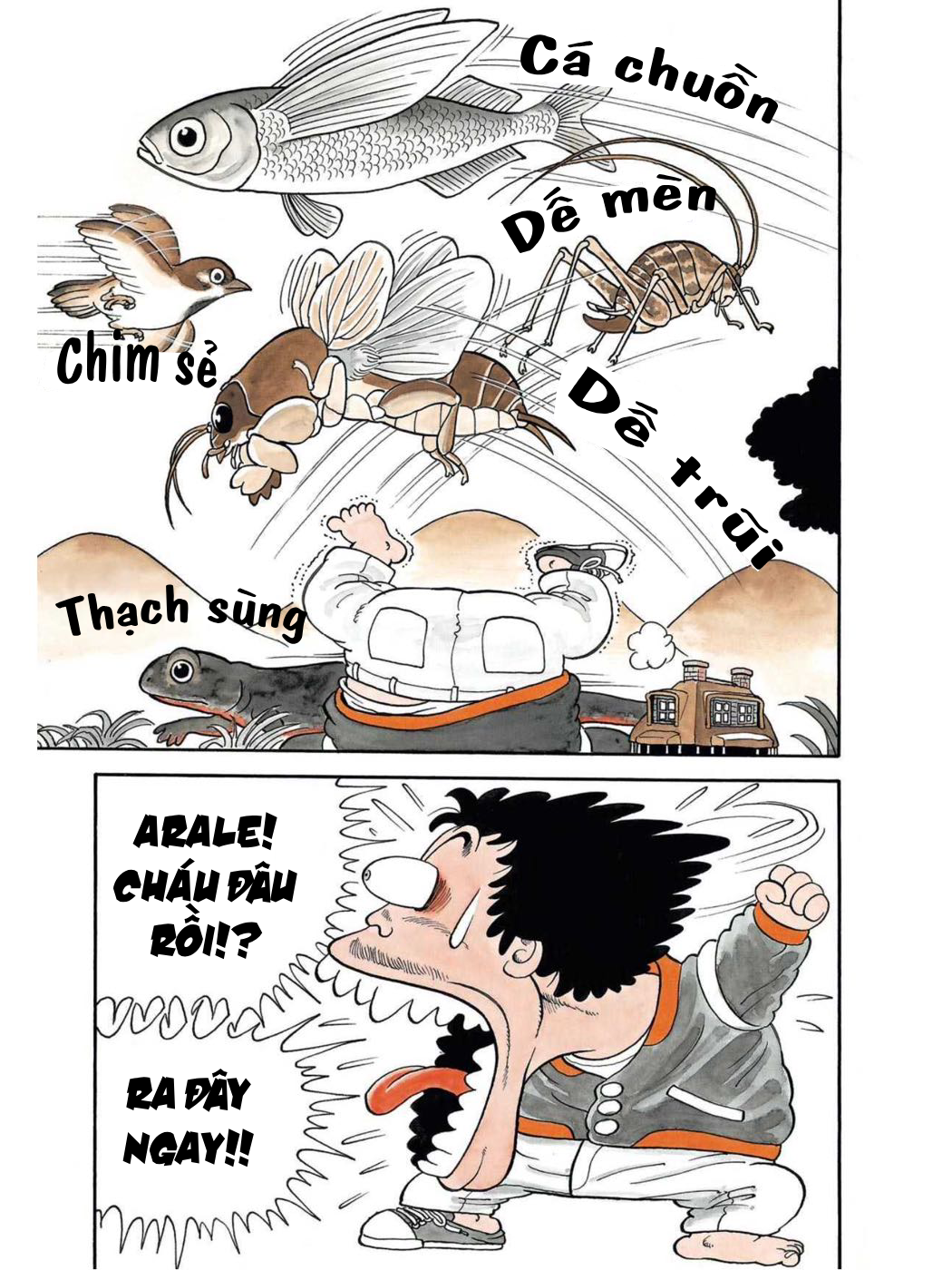 Dr. Slump - Chương 8