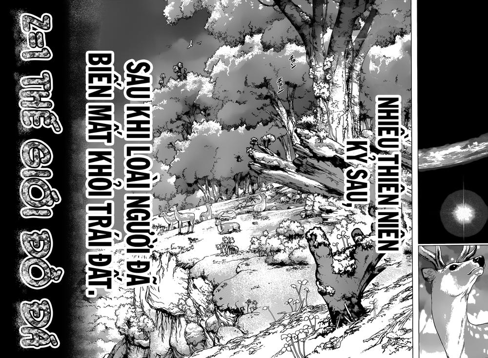 Dr.stone - Chương 1