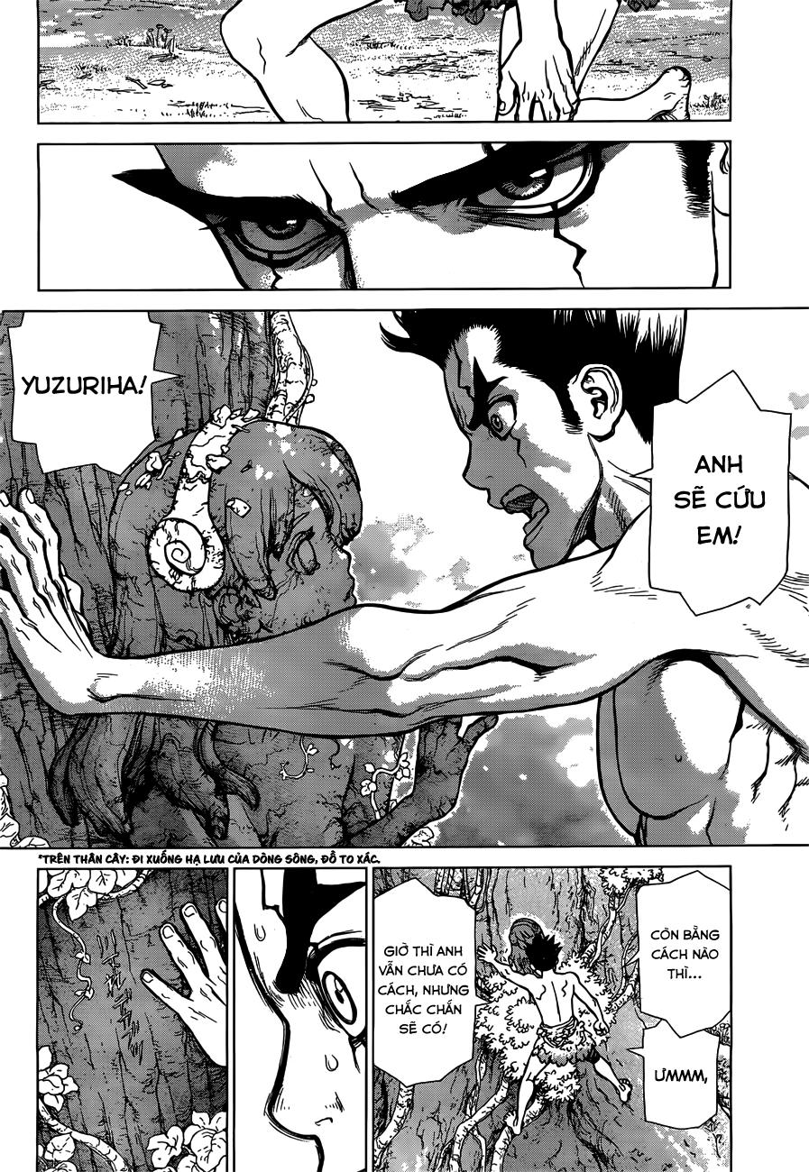 Dr.stone - Chương 1