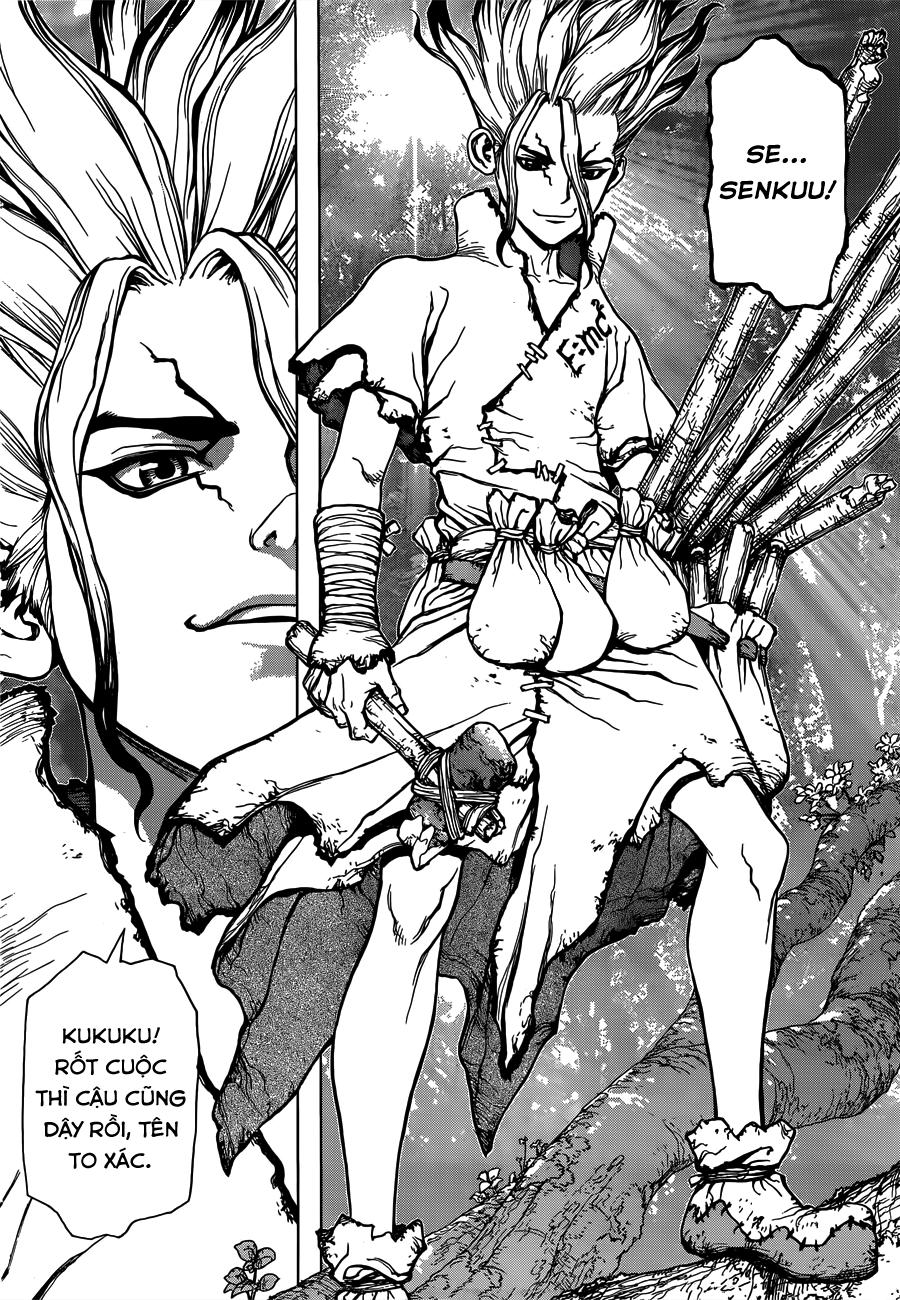 Dr.stone - Chương 1