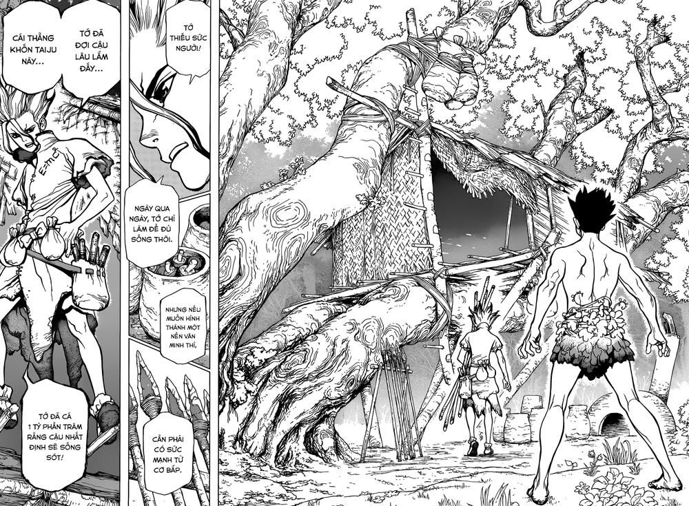 Dr.stone - Chương 1