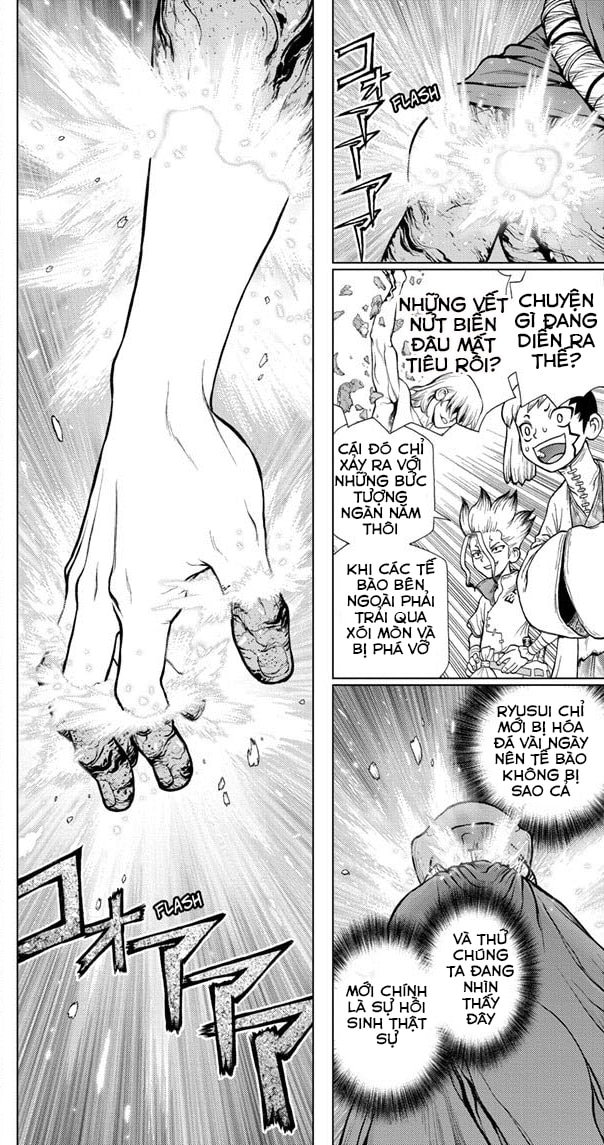 Dr.stone - Chương 116