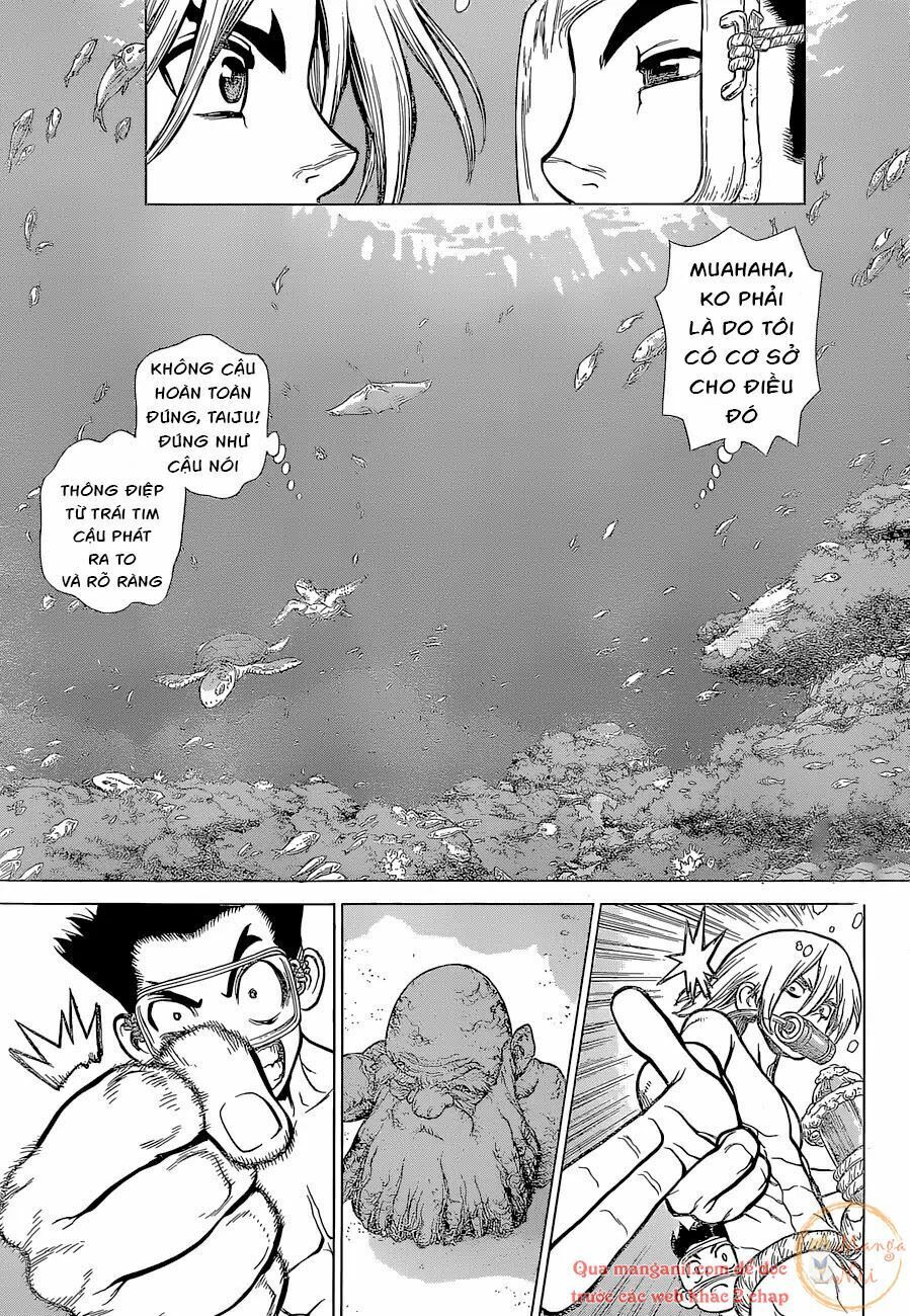 Dr.stone - Chương 118