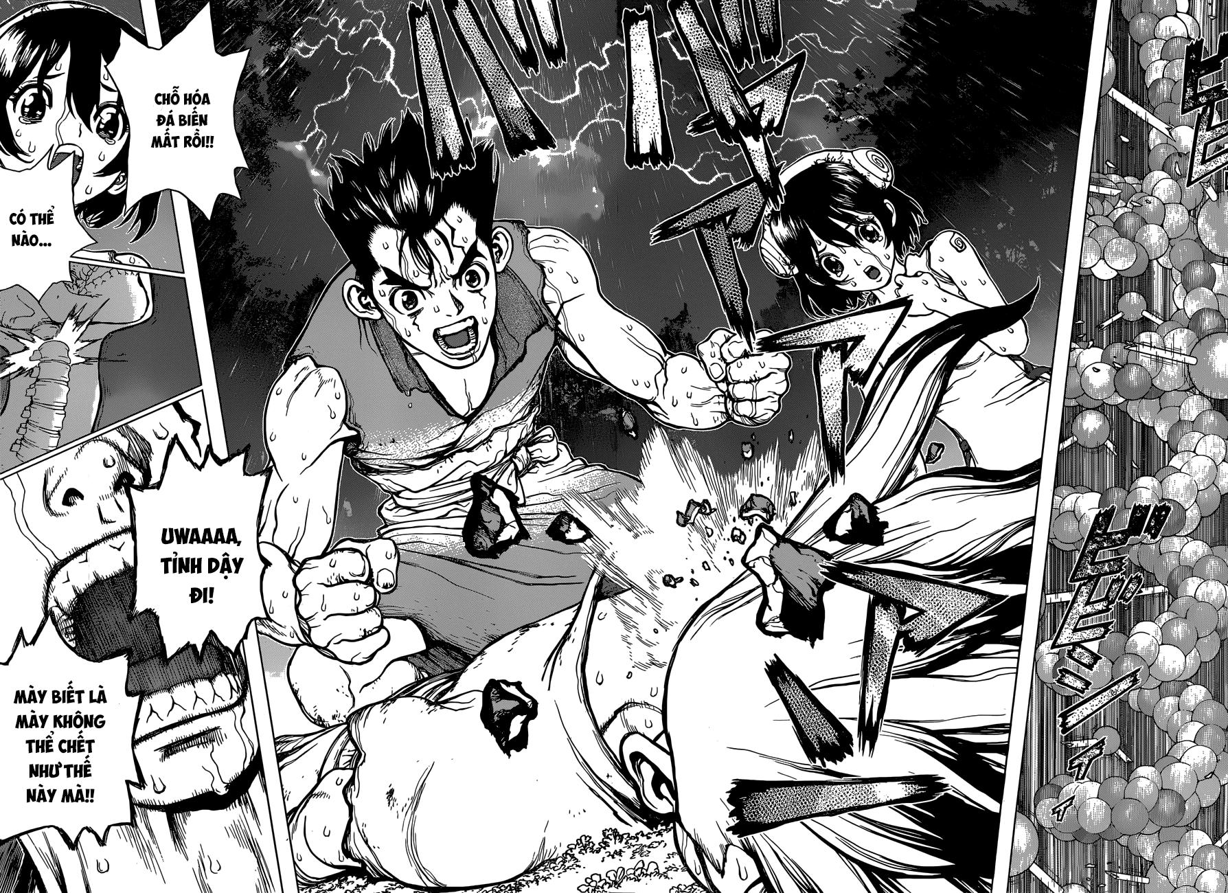 Dr.stone - Chương 12